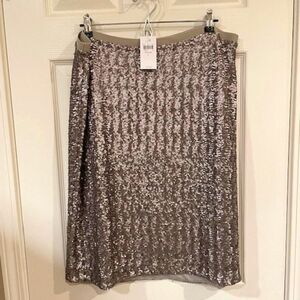 NWT - JJill silver sequin skirt; size Large